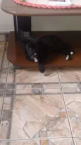 Boris