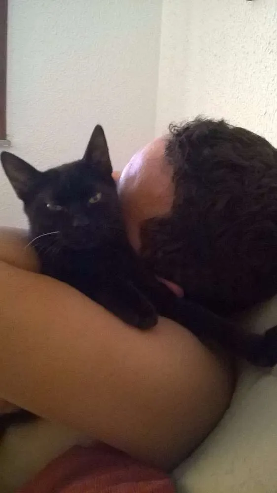 Gato ra a SRD idade 2 a 6 meses nome Salém