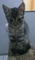 Caju & Castanha