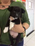 KADU