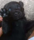 A ser definido pelo