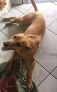 Mel