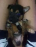 sem nome