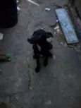 Eles não tem nome