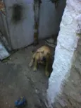 Eles não tem nome
