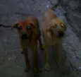 Eles não tem nome