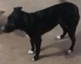 nina