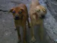 Eles não tem nome