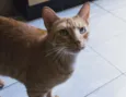 Charlie