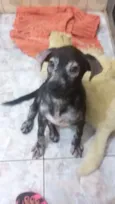 Princesa