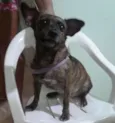 Mel