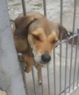 LAYKA