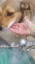 LAYKA