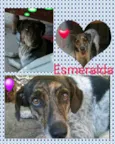 ESMERALDA