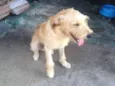 Jhonny