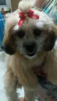 Bela
