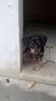 kika