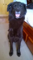 Preto