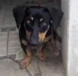 kika
