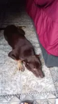 Mel