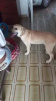 Paco