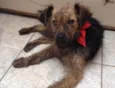 Princesa