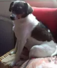 FIFI