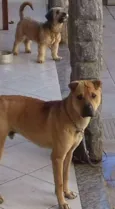 Marley