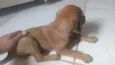 Belo