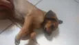 Belo