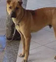 Marley