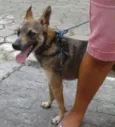 Lino