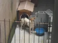 BOLINHA