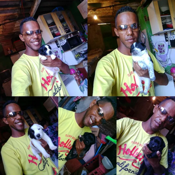 Cachorro ra a Srd idade Abaixo de 2 meses nome Estrela