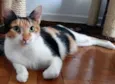 Lila