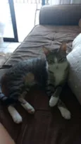 Mel