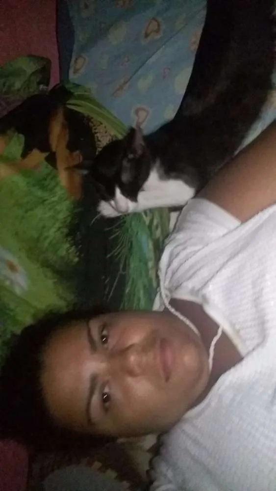 Gato raça Não definida idade 1 ano nome Jubileu 