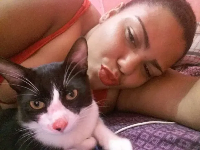 Gato raça Não definida idade 1 ano nome Jubileu 