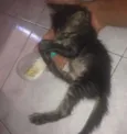 Não tem ainda