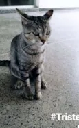 Otávio 