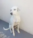 Billy