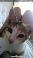 Mel e Salem