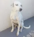 Billy