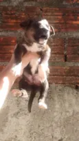 Não tem nome