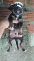 Não tem nome