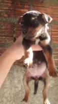Não tem nome