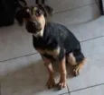 Belinha