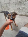 Jack