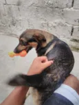 Jack