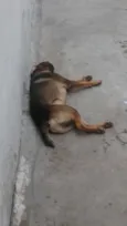 Jack